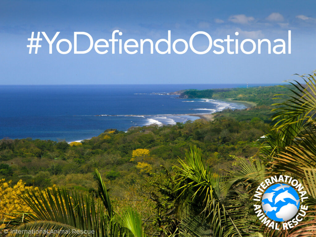 Future of Ostional Wildlife Refuge at Risk – IAR Costa Rica